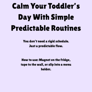 Toddler routine printable with simple predictable daily schedule for reducing meltdowns (cover mock up)